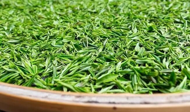 Exploring Maojian Tea: A Renowned Chinese Green Tea - Varieties and Brewing Techniques-1