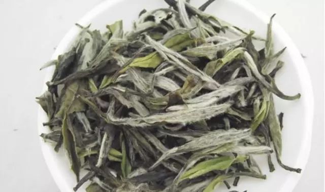 White Tea from Zhenghe: 