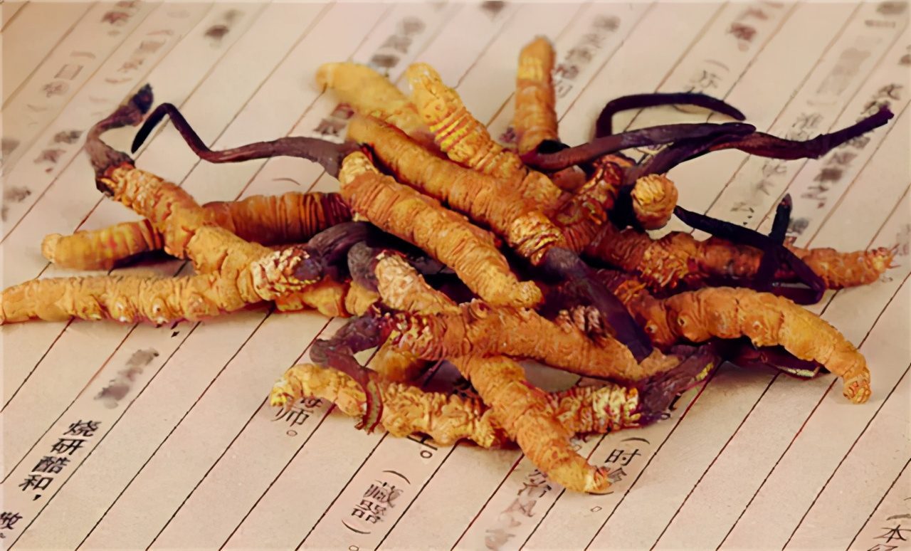 Brewing Method and Benefits of Cordyceps Tea-4