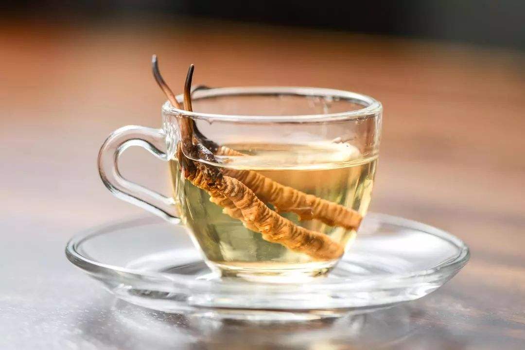 Brewing Method and Benefits of Cordyceps Tea-2