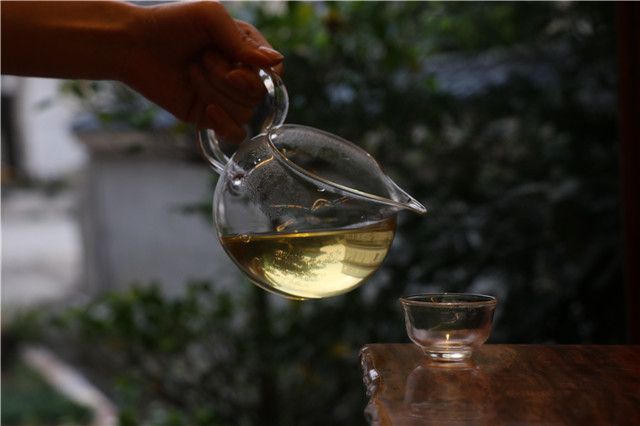 Enduring Charm of Tea: Finding Inner Peace in Its Aroma-3