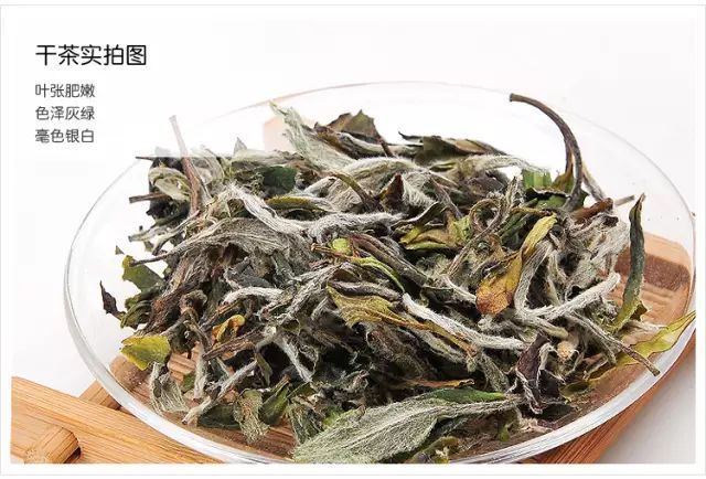 White Tea from Zhenghe: 