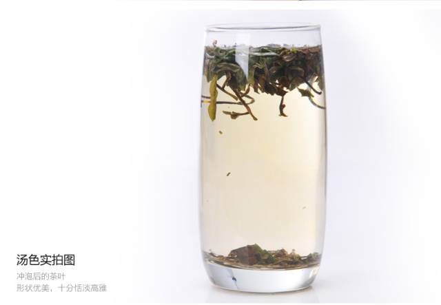 White Tea from Zhenghe: 