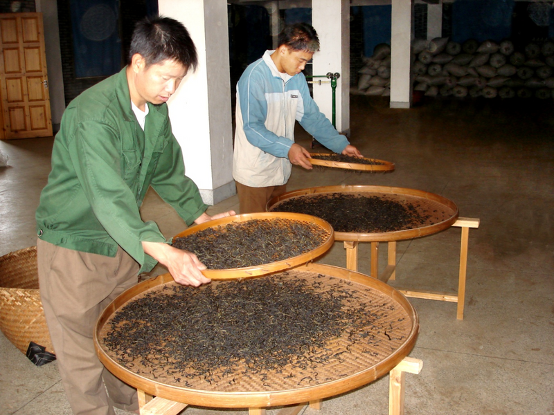 A Detailed Tutorial on Wuyi Rock Tea Refining Techniques by Intangible Cultural Heritage Practitioners, Highly Recommended for Collection!-5