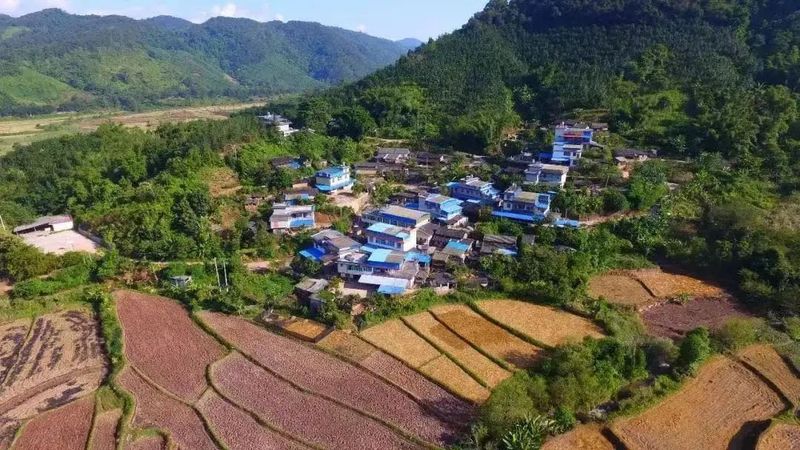 Tea Fragrance of Xishuangbanna: Dingjiazhai in Yiwu-2