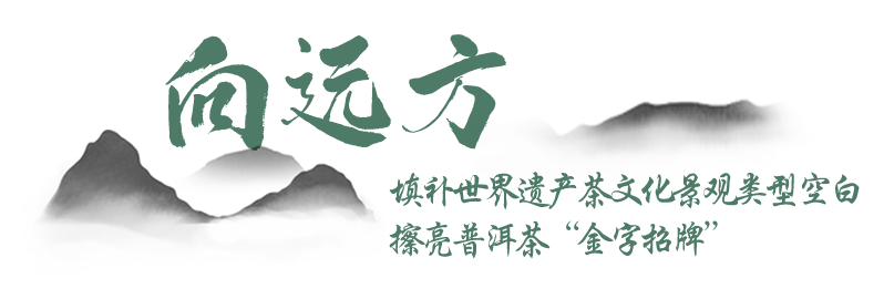 You Natively Born, Self-Directed Toward the Distance — A Series on the Journey of Jingmai Mountain's Bid for World Heritage Status ③-3