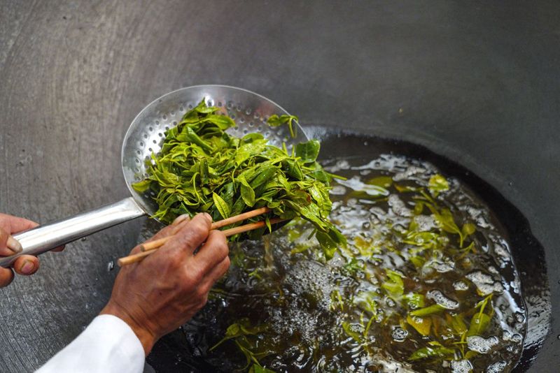 The Sour Tea of Jingmai Mountain: How Elaborate is its Preparation?-2