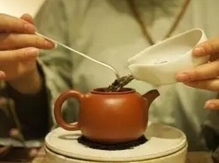 Why Can't You Brew Tea Like Others?-1