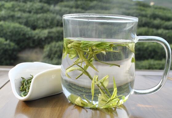 17 Professional Terms for the Aroma of White Tea—Master These and You'll Be an Expert-2