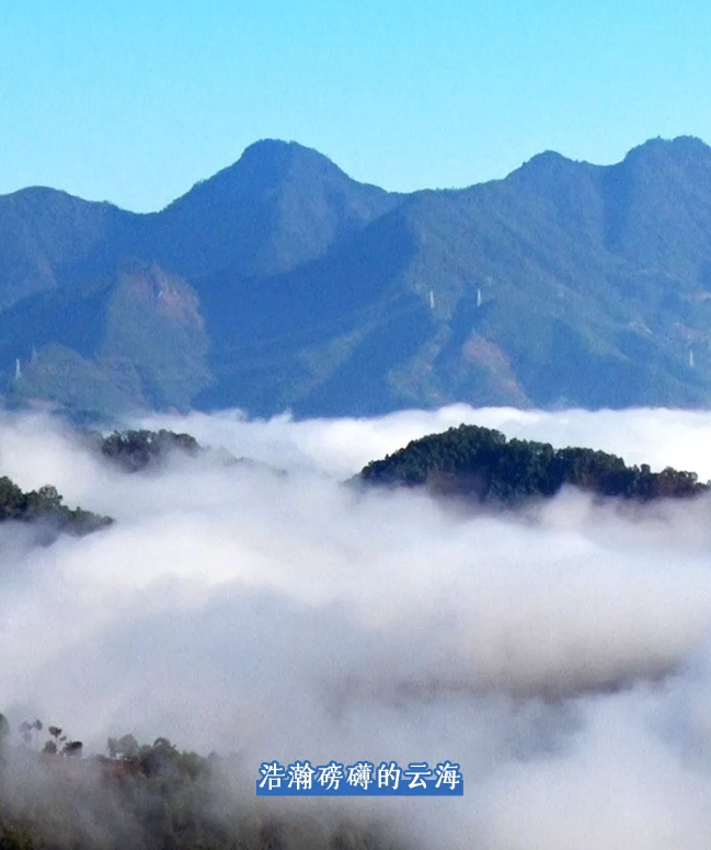 To Xigui, Brew a Pot of Fine Tea and Watch the Sea of Clouds-2