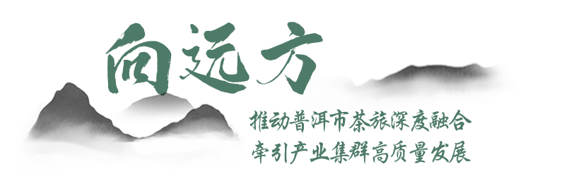 You Natively Born, Self-Directed Toward the Distance — A Series on the Journey of Jingmai Mountain's Bid for World Heritage Status ③-6