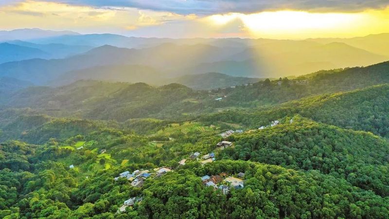 You Natively Born, Self-Directed Toward the Distance — A Series on the Journey of Jingmai Mountain's Bid for World Heritage Status ③-2