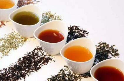 Fermented Tea Can Nourish the Stomach and Regulate the Intestines: How Much Do You Know About Fermented Tea?