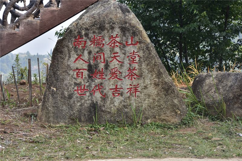 Nannuoshan, the Famous Pu'er Tea Mountain in Xishuangbanna-1