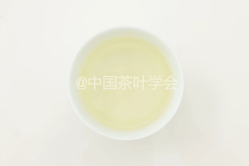 Weekly Tea Knowledge: I Know the Fresh Taste! Let's Talk About the Whitening and Yellowing of Tea Leaves ①-12