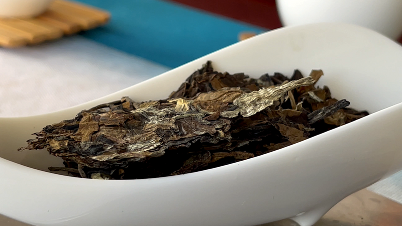 How Much Do You Know About Yunnan White Tea? How to Brew Shou Mei White Tea for a Great Taste-7