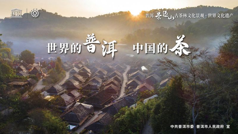 Why Jingmai Mountain?—The Journey to World Heritage Status for the Ancient Tea Forest Cultural Landscape of Pu'er Jingmai Mountain-2