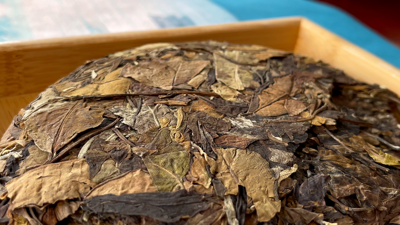 How Much Do You Know About Yunnan White Tea? How to Brew Shou Mei White Tea for a Great Taste-5