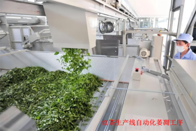 New Advances in the Application of Intelligent Control Technology for Tea Processing Equipment-2