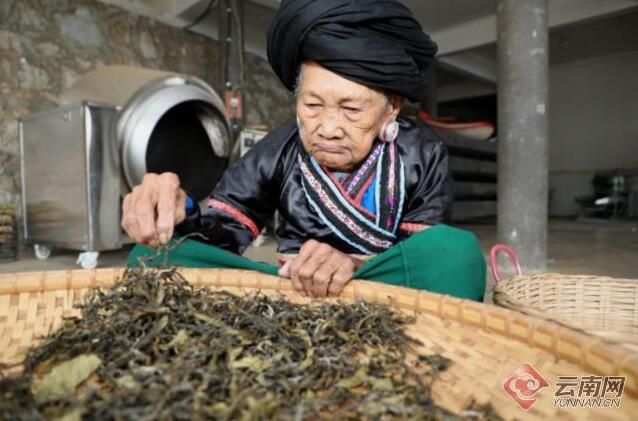 Mannuodazhai, Manghai County, Yunnan: Happiness Comes with the Aroma of Tea-2