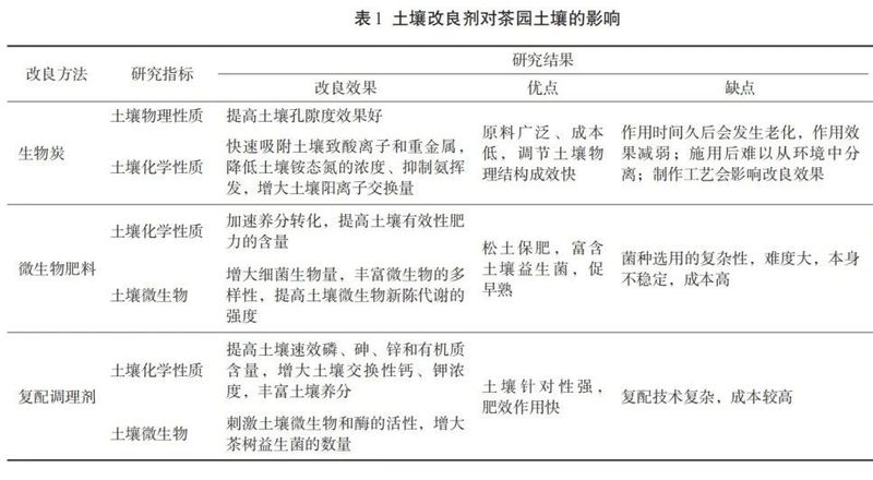 The Impact of Soil Conditioners on Tea Garden Soil Environment and Tea Plant Growth-2