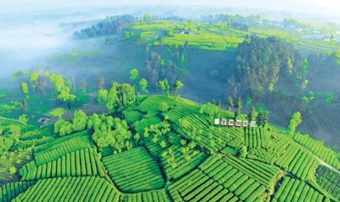 The Legend of Mount Mengding – A Sacred Mountain of World Tea Culture