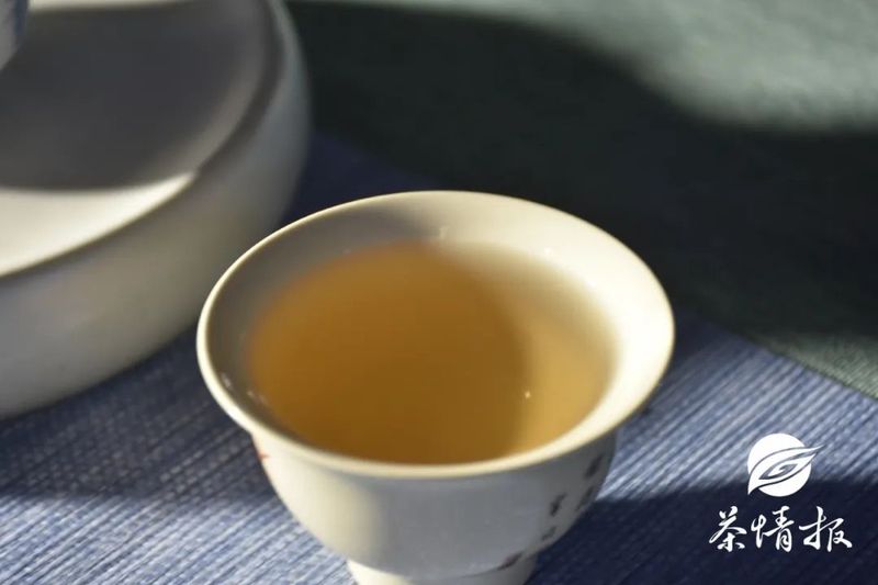 Dry Goods! As the Rainy Season Rages, How Should Pu'er Tea Be Stored in Different Regions?-3