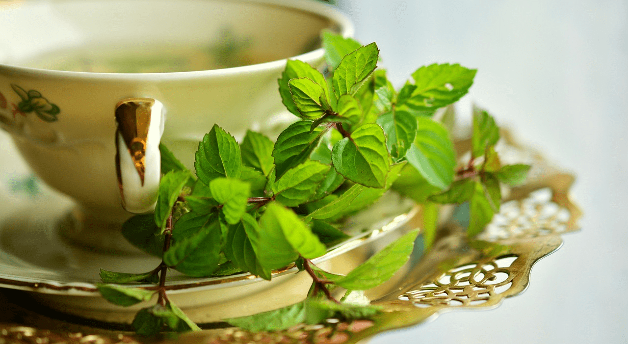 Mint-Infused Green Tea: Refreshing, Healthy, and Natural-1