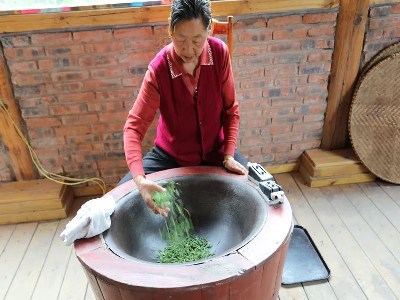 Cloudy Mist Chrysanthemum Tea Production Technique-3