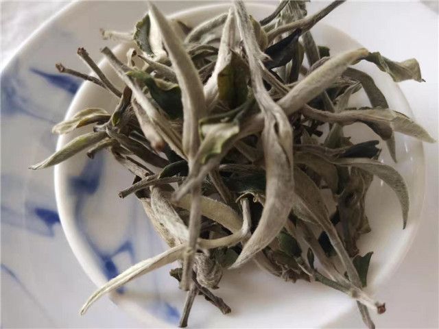 Does White Tea Cool the Body or Cause Heatiness?-2