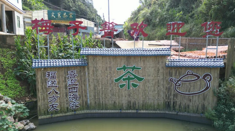 Mezijing Tea Mountain in Yongde County: Fresh Tea Steeps the Heart, Pure Breeze Fills the Hills-4