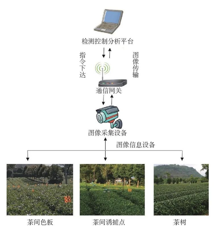 Research Progress on Intelligent Management of Tea Tree Planting-5