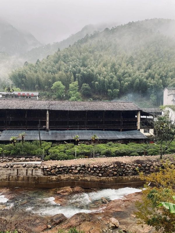 The Unique Ecological Environment of the Core Producing Area of Zhengshan XiaoZhong, the Ancestor of Black Tea-8