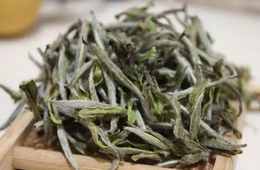 17 Professional Terms for the Aroma of White Tea—Master These and You'll Be an Expert-1