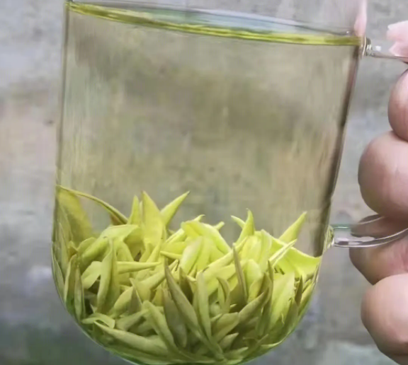 Can Green Tea Be Brewed With 100-Degree Water?-3