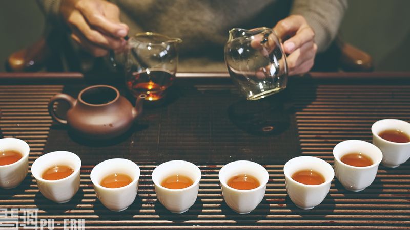 Puer Tea Nurtures Your Gut Microbiome-3