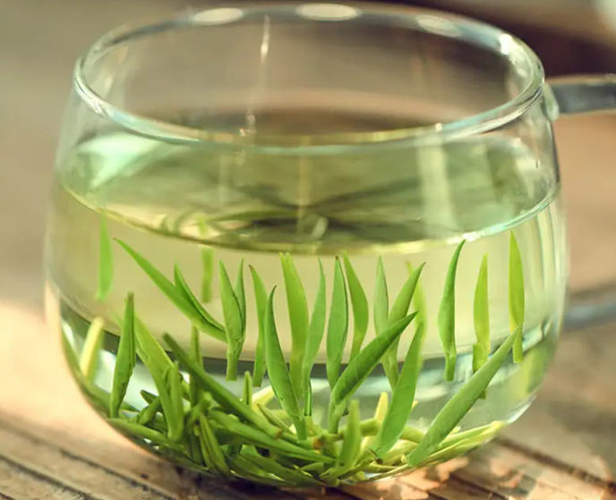 Price of 2024 Xinyang Maojian Spring Tea per Pound-2