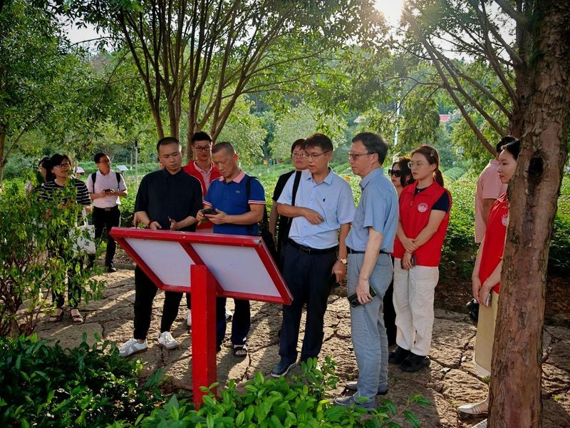 Science Villages Support National Standard Development; Eco-Friendly Tea Gardens Boost Green, High-Quality Growth in the Tea Industry-5