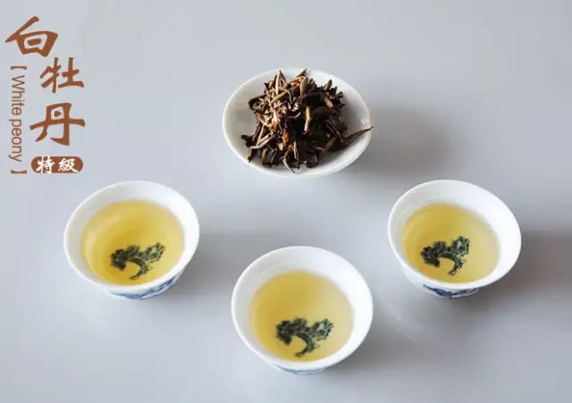 White Tea from Zhenghe: 