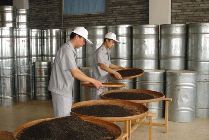 A Detailed Tutorial on Wuyi Rock Tea Refining Techniques by Intangible Cultural Heritage Practitioners, Highly Recommended for Collection!-6