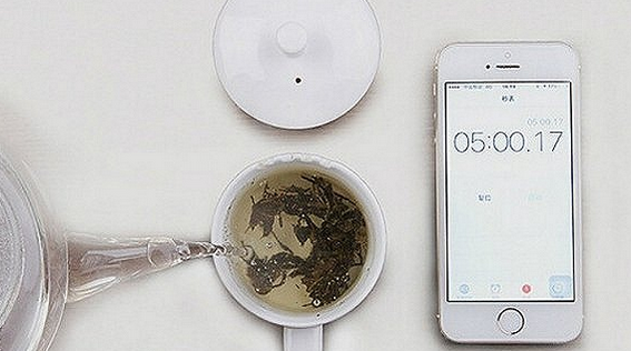 Want to Learn About Tea? Start by Gathering These Essential Tools!