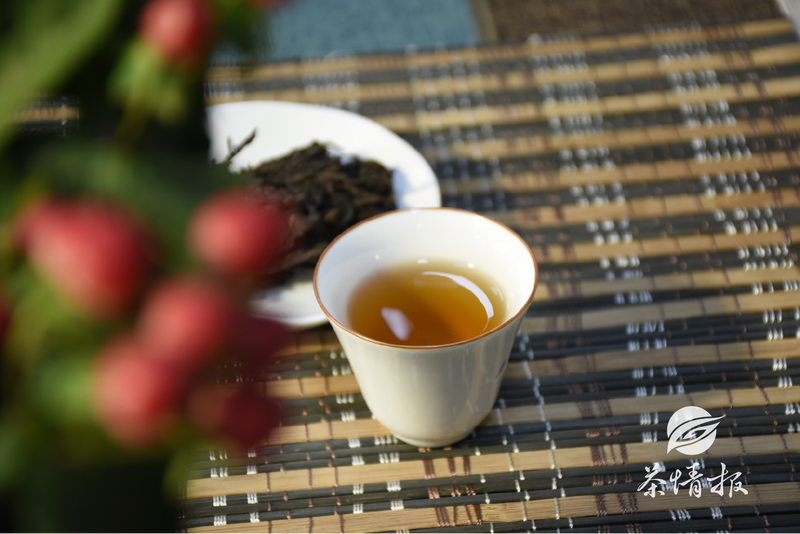 The Role of Stems in Anhua Black Tea: Essential for Quality-6