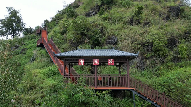 Mezijing Tea Mountain in Yongde County: Fresh Tea Steeps the Heart, Pure Breeze Fills the Hills-3