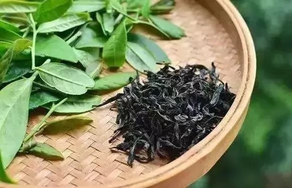 Narcissus Tea, a Variety of Wuyi Rock Tea-2