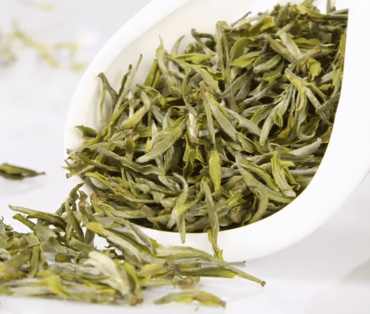 How Much Does a Pound of Huangshan Maofeng Tea Cost? Is It Worth It?-2