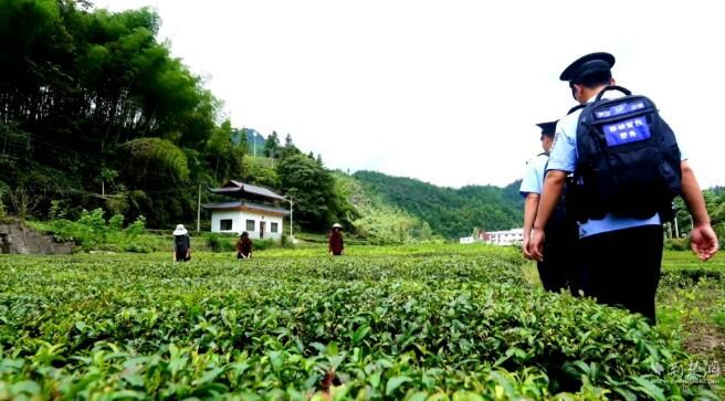 Lichuan Maoba Police Station Cultivates Field Policing to Safeguard the Development of Tea Town-1