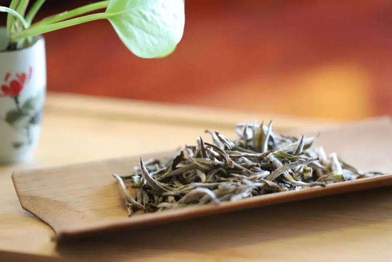 The Correct Way to Savor White Tea: Master These Tips and You'll Be an Aroma Expert!-1