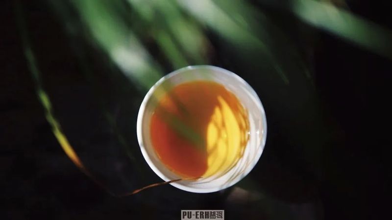 Puer Tea: A World of Aroma in Every Leaf-3