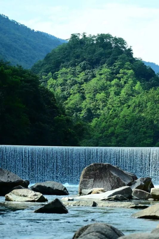 The Unique Ecological Environment of the Core Producing Area of Zhengshan XiaoZhong, the Ancestor of Black Tea-5