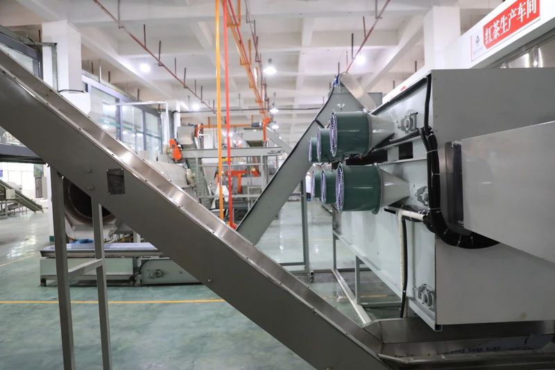 Duyun's First Fully Automated Tea Production Line Put into Operation-4